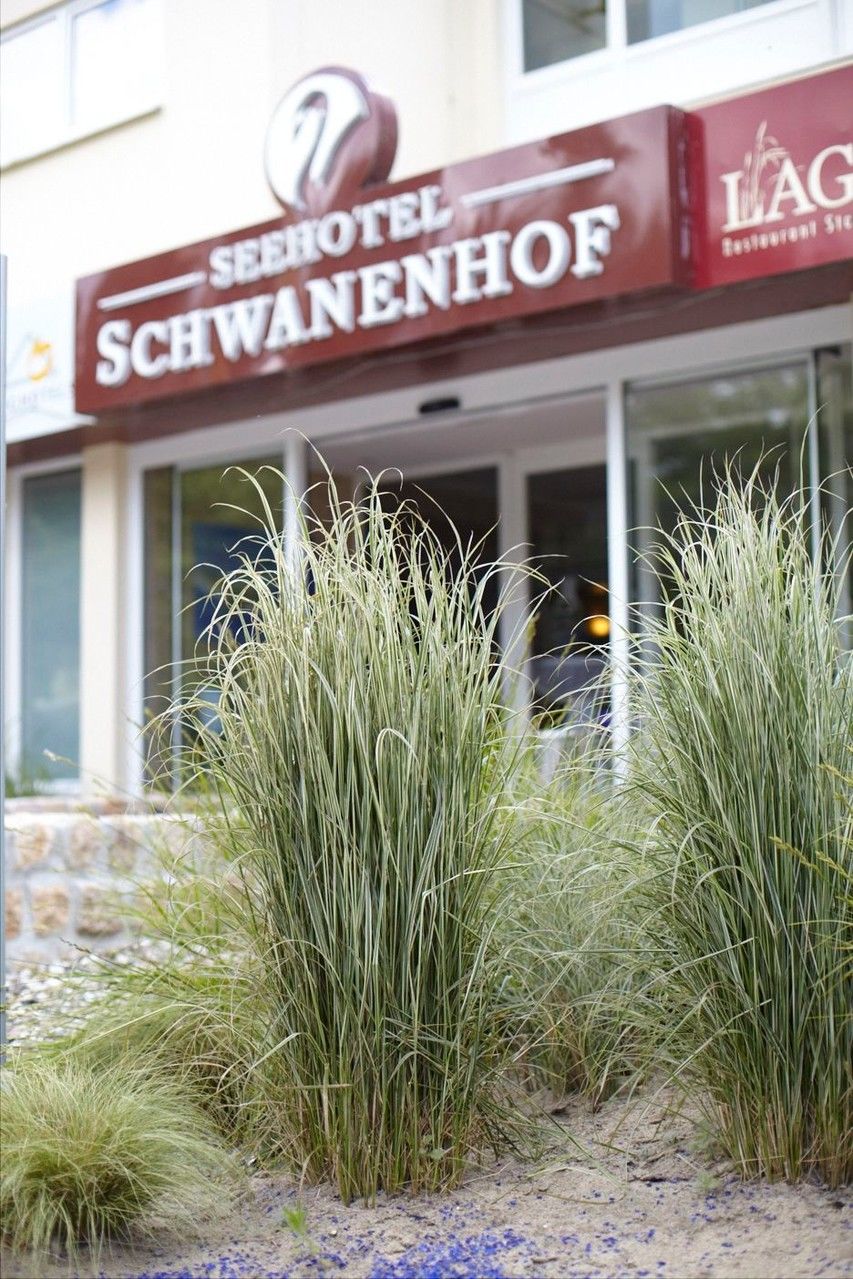 Seehotel Schwanenhof Мельн Экстерьер фото